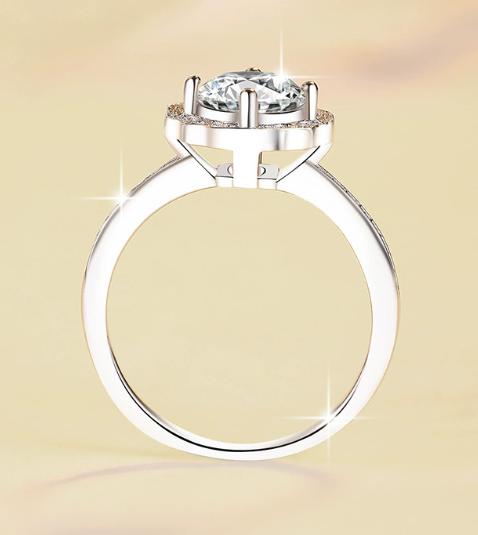 Round Halo Double Band Moissanite Ring in 925 Sterling Silver